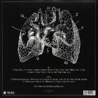 Florence And The Machine ‎– Lungs LP - Florence And The Machine ‎– Lungs LP