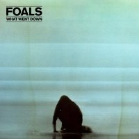Foals ‎– What Went Down LP