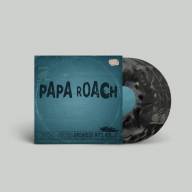 Papa Roach - Greatest Hits Vol.2 The Better Noise Years (US Exclusive Smoke 2LP) - Papa Roach - Greatest Hits Vol.2 The Better Noise Years (US Exclusive Smoke 2LP)