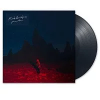 Phoebe Bridgers - Punisher
