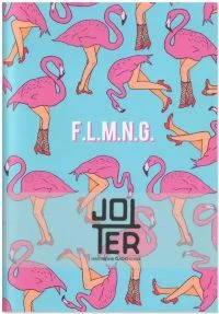 Скетчбук Jotter - Flamingo