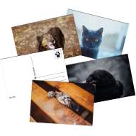 Авторские открытки Liquid Day - Животные - Авторские открытки Liquid Day - Животные