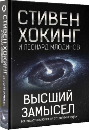 Высший замысел. Взгляд астрофизика на сотворение мира (Хокинг С, Млодинов Л)