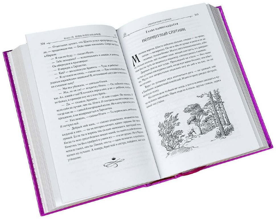 Купити книгу Хроники Нарнии (подарочное издание) недорого в інтернет ...