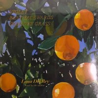 Lana Del Rey – Violet Bent Backwards Over The Grass LP