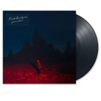 Phoebe Bridgers - Punisher