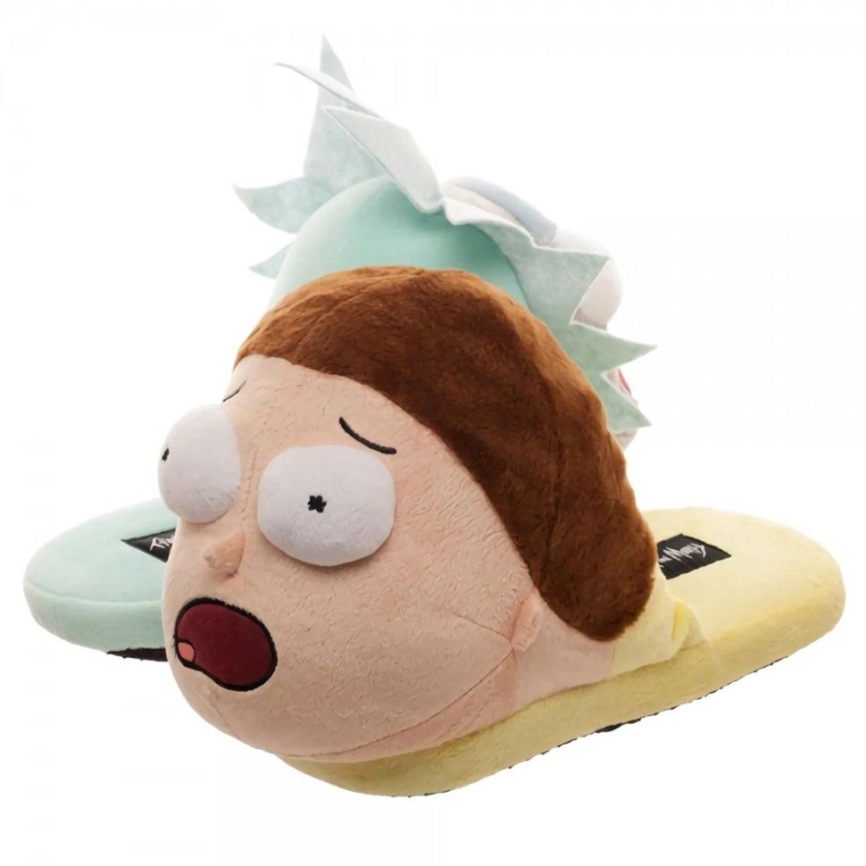 Rick and shop morty slippers