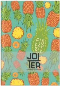 Скетчбук Jotter - Pineapple