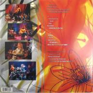 Nirvana ‎- MTV Unplugged in New York (Expanded 25th Anniversary edition) - Nirvana ‎- MTV Unplugged in New York (Expanded 25th Anniversary edition)
