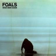 Foals ‎– What Went Down LP - Foals ‎– What Went Down LP