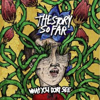 Винил The Story So Far - What You Don't See LP