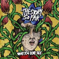 The Story So Far - What You Don&#039;t See LP - The Story So Far - What You Don't See LP