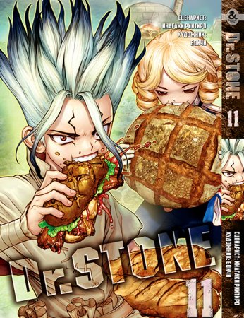 Доктор Стоун. Том 11 / Dr. Stone