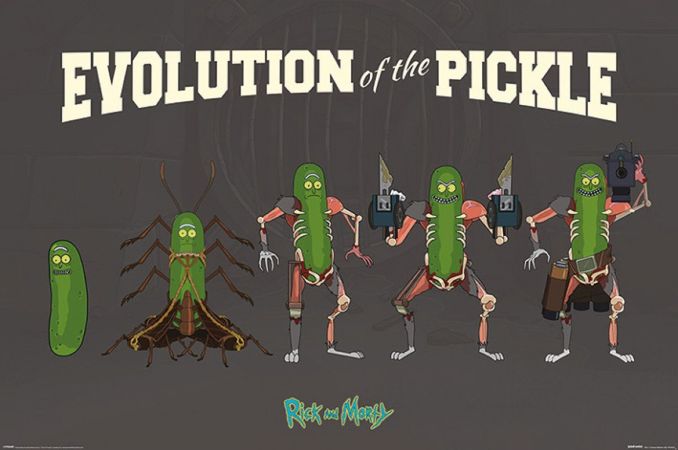 Постер лицензионный Rick and Morty Evolution of The Pickle PP34337 (90х60 см)